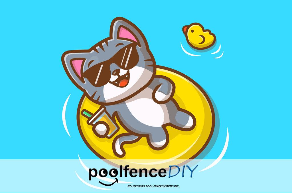 What to Do When You Find an Animal in Your Pool