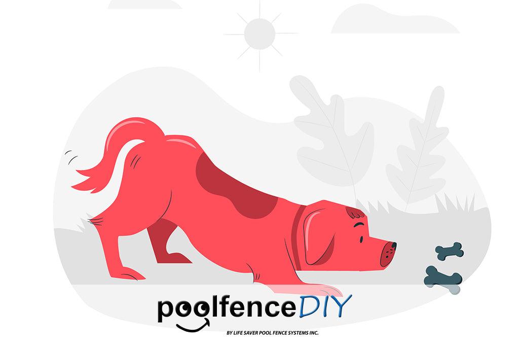 Tips for Recognizing Hypothermia in Pets