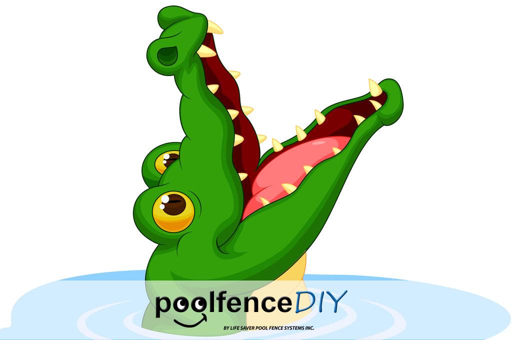 Danger Alert: Swimming with Alligators