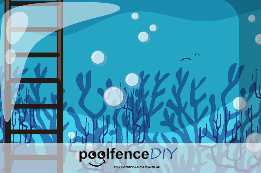 Adding a Pool Ladder Can Save Your Life Pool Fence DIY