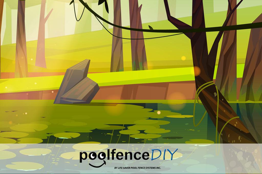 Celebrating American Wetlands Month