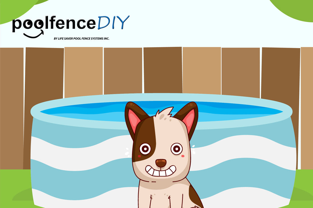 DIY Guide: Pool Fences for Dogs
